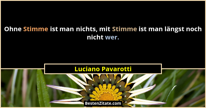 Ohne Stimme ist man nichts, mit Stimme ist man längst noch nicht wer.... - Luciano Pavarotti