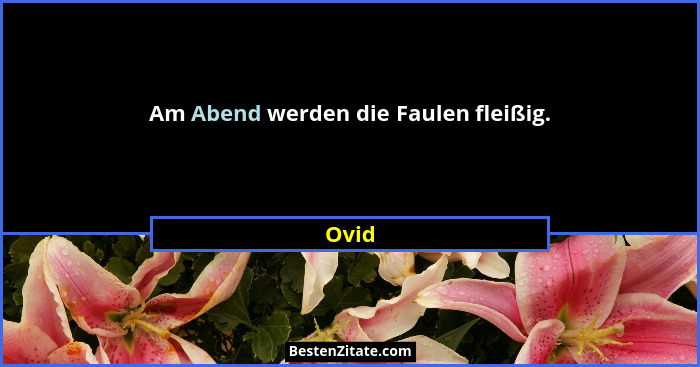 Am Abend werden die Faulen fleißig.... - Ovid