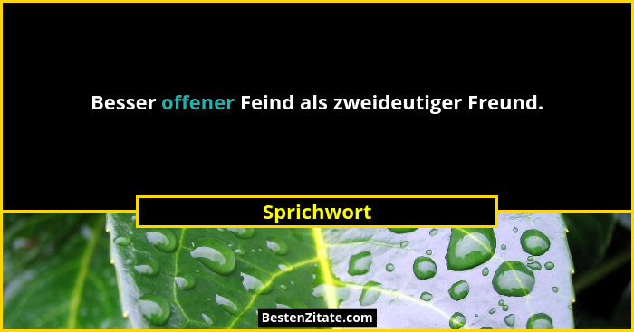 Besser offener Feind als zweideutiger Freund.... - Sprichwort