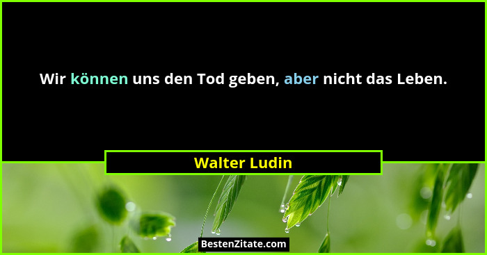 Wir können uns den Tod geben, aber nicht das Leben.... - Walter Ludin