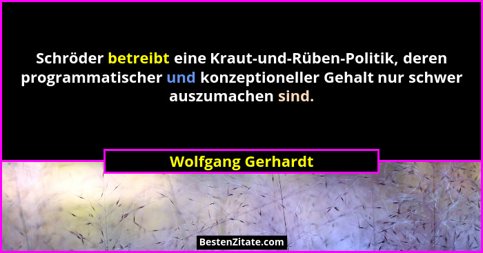 Schröder betreibt eine Kraut-und-Rüben-Politik, deren programmatischer und konzeptioneller Gehalt nur schwer auszumachen sind.... - Wolfgang Gerhardt