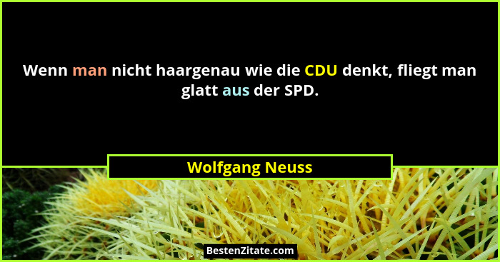 Wenn man nicht haargenau wie die CDU denkt, fliegt man glatt aus der SPD.... - Wolfgang Neuss