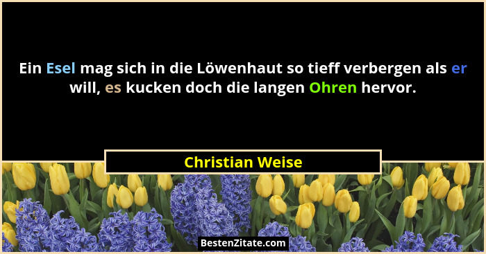 Ein Esel mag sich in die Löwenhaut so tieff verbergen als er will, es kucken doch die langen Ohren hervor.... - Christian Weise