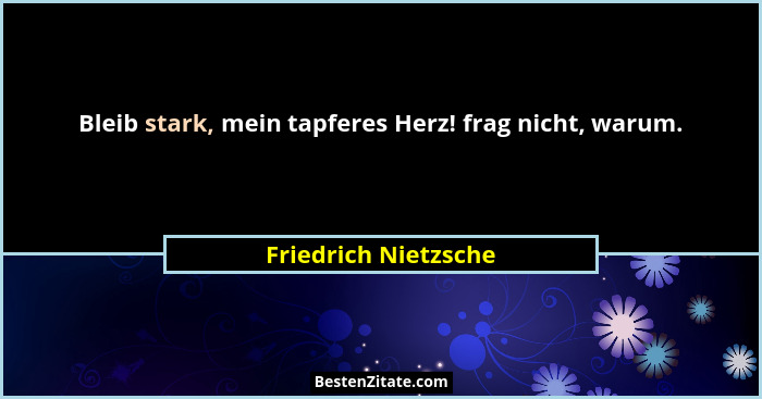 Bleib stark, mein tapferes Herz! frag nicht, warum.... - Friedrich Nietzsche
