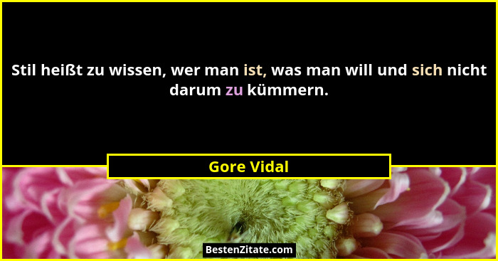 Stil heißt zu wissen, wer man ist, was man will und sich nicht darum zu kümmern.... - Gore Vidal