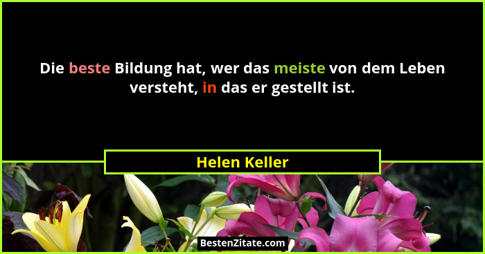 Die beste Bildung hat, wer das meiste von dem Leben versteht, in das er gestellt ist.... - Helen Keller