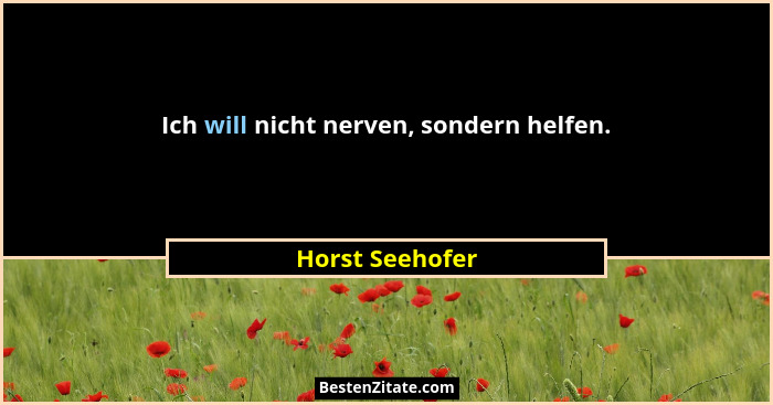 Ich will nicht nerven, sondern helfen.... - Horst Seehofer