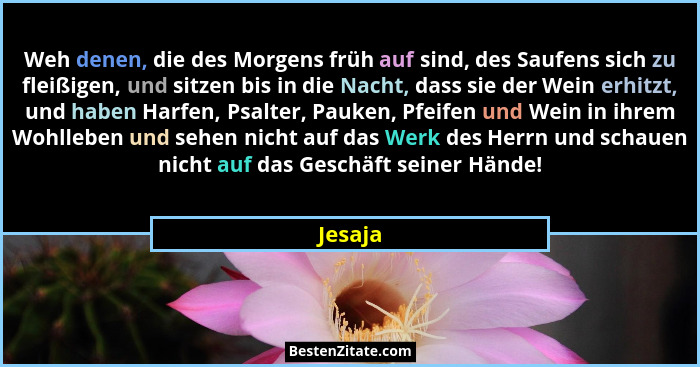 Weh denen, die des Morgens früh auf sind, des Saufens sich zu fleißigen, und sitzen bis in die Nacht, dass sie der Wein erhitzt, und haben Ha... - Jesaja