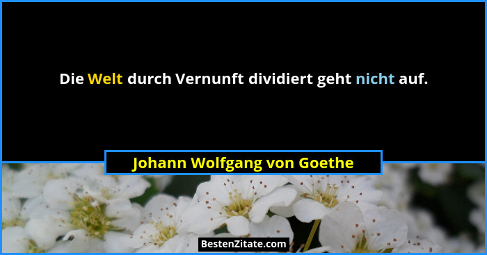 Die Welt durch Vernunft dividiert geht nicht auf.... - Johann Wolfgang von Goethe