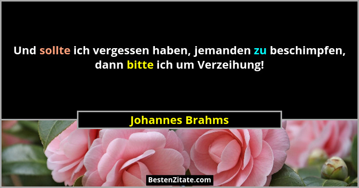 Und sollte ich vergessen haben, jemanden zu beschimpfen, dann bitte ich um Verzeihung!... - Johannes Brahms