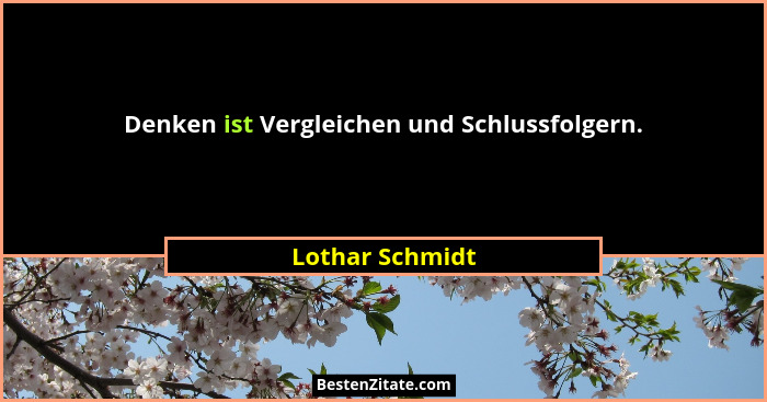 Denken ist Vergleichen und Schlussfolgern.... - Lothar Schmidt