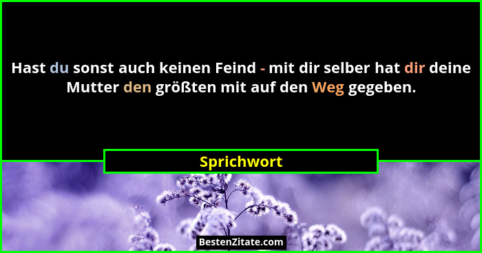 Hast du sonst auch keinen Feind - mit dir selber hat dir deine Mutter den größten mit auf den Weg gegeben.... - Sprichwort