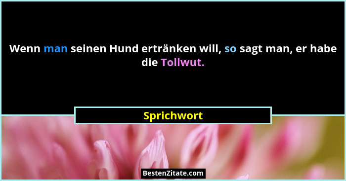 Wenn man seinen Hund ertränken will, so sagt man, er habe die Tollwut.... - Sprichwort