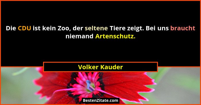 Die CDU ist kein Zoo, der seltene Tiere zeigt. Bei uns braucht niemand Artenschutz.... - Volker Kauder