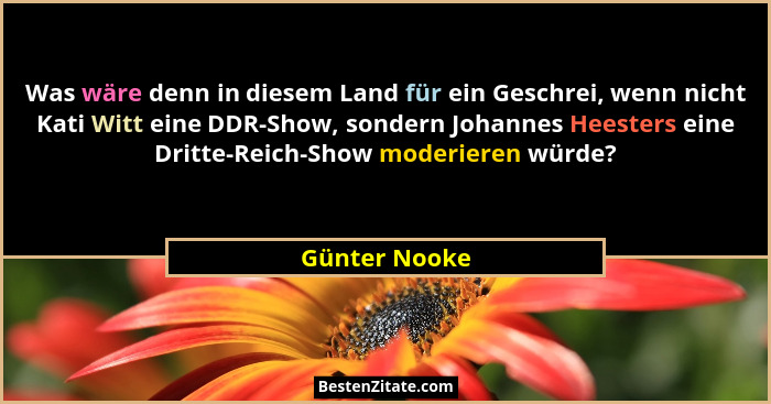 Was wäre denn in diesem Land für ein Geschrei, wenn nicht Kati Witt eine DDR-Show, sondern Johannes Heesters eine Dritte-Reich-Show mod... - Günter Nooke