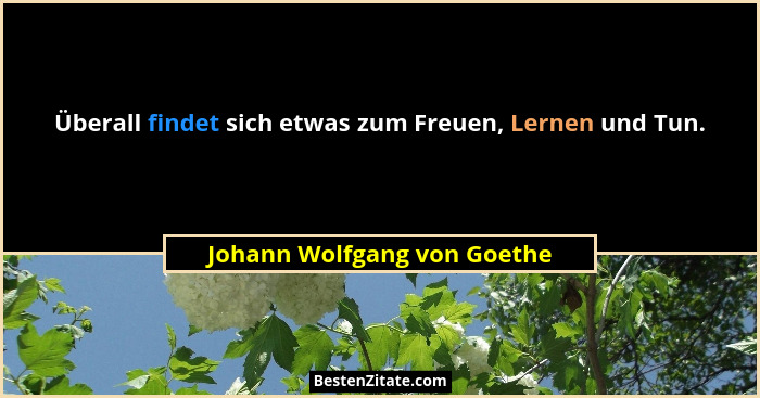 Überall findet sich etwas zum Freuen, Lernen und Tun.... - Johann Wolfgang von Goethe