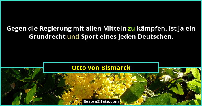 Gegen die Regierung mit allen Mitteln zu kämpfen, ist ja ein Grundrecht und Sport eines jeden Deutschen.... - Otto von Bismarck