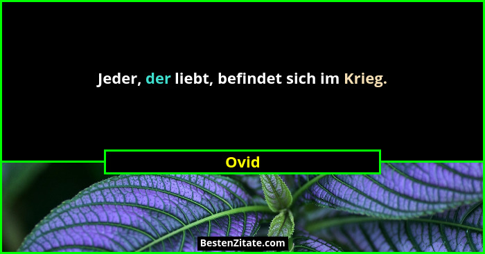 Jeder, der liebt, befindet sich im Krieg.... - Ovid