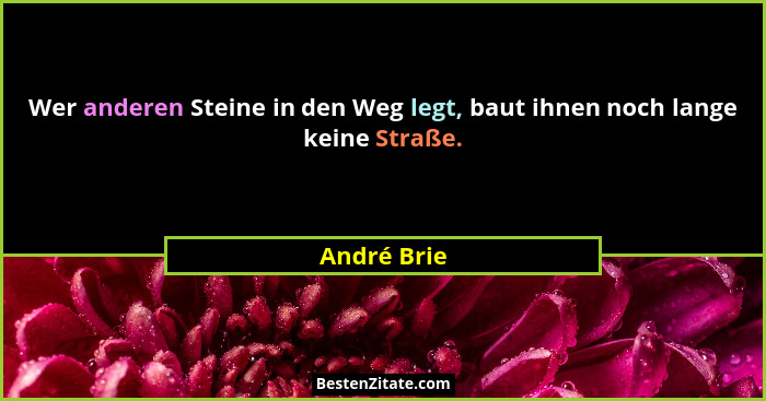 Wer anderen Steine in den Weg legt, baut ihnen noch lange keine Straße.... - André Brie