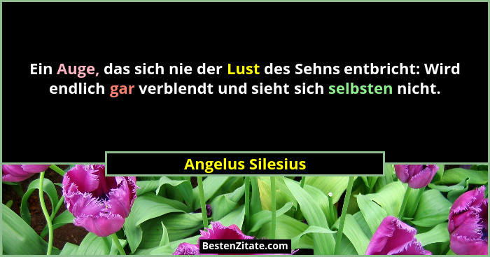 Ein Auge, das sich nie der Lust des Sehns entbricht: Wird endlich gar verblendt und sieht sich selbsten nicht.... - Angelus Silesius