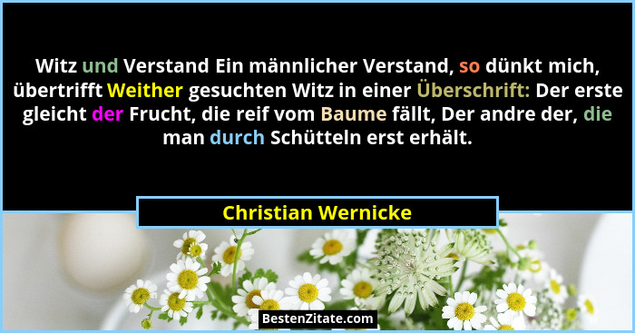 Witz und Verstand Ein männlicher Verstand, so dünkt mich, übertrifft Weither gesuchten Witz in einer Überschrift: Der erste gleic... - Christian Wernicke