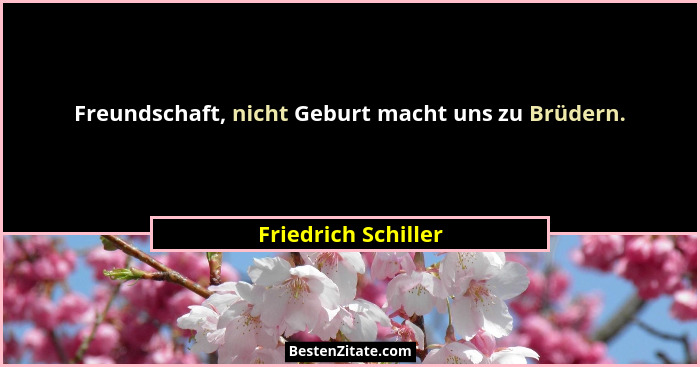 Freundschaft, nicht Geburt macht uns zu Brüdern.... - Friedrich Schiller