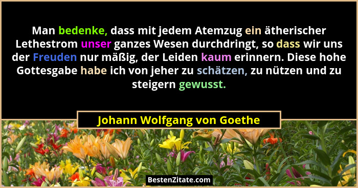 Man bedenke, dass mit jedem Atemzug ein ätherischer Lethestrom unser ganzes Wesen durchdringt, so dass wir uns der Freude... - Johann Wolfgang von Goethe