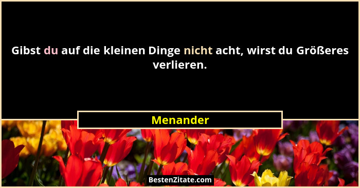 Gibst du auf die kleinen Dinge nicht acht, wirst du Größeres verlieren.... - Menander