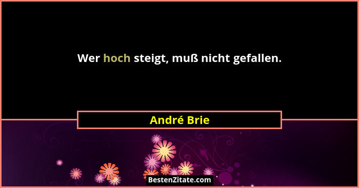 Wer hoch steigt, muß nicht gefallen.... - André Brie