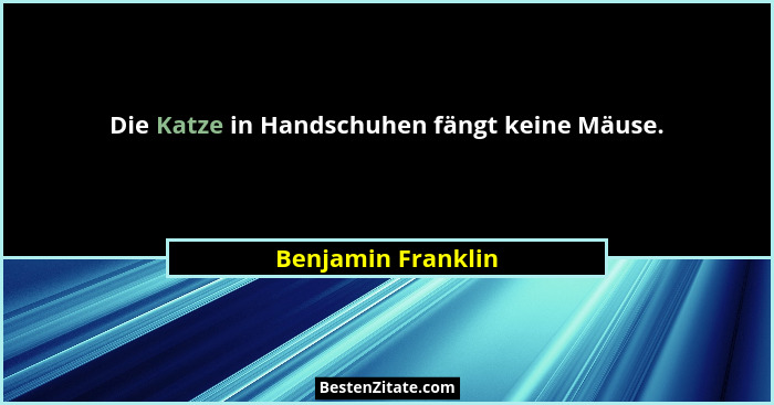 Die Katze in Handschuhen fängt keine Mäuse.... - Benjamin Franklin