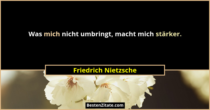 Was mich nicht umbringt, macht mich stärker.... - Friedrich Nietzsche