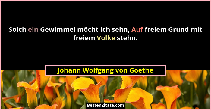 Solch ein Gewimmel möcht ich sehn, Auf freiem Grund mit freiem Volke stehn.... - Johann Wolfgang von Goethe