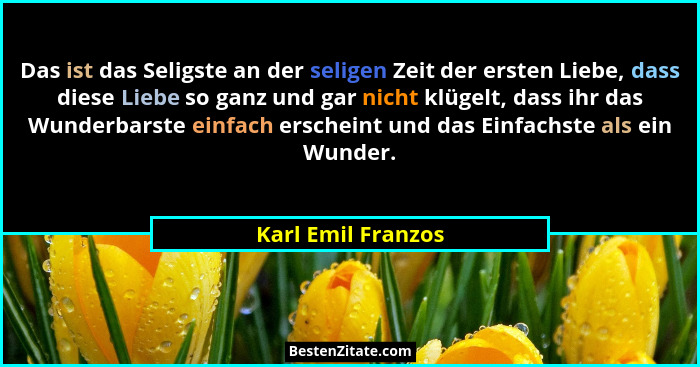 Das ist das Seligste an der seligen Zeit der ersten Liebe, dass diese Liebe so ganz und gar nicht klügelt, dass ihr das Wunderbars... - Karl Emil Franzos