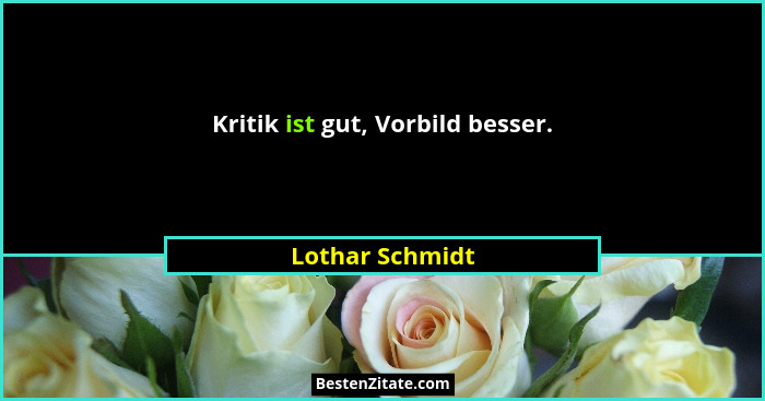Kritik ist gut, Vorbild besser.... - Lothar Schmidt