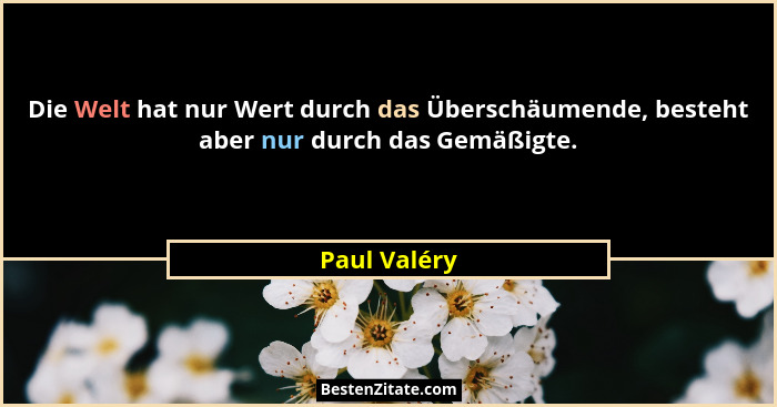 Die Welt hat nur Wert durch das Überschäumende, besteht aber nur durch das Gemäßigte.... - Paul Valéry