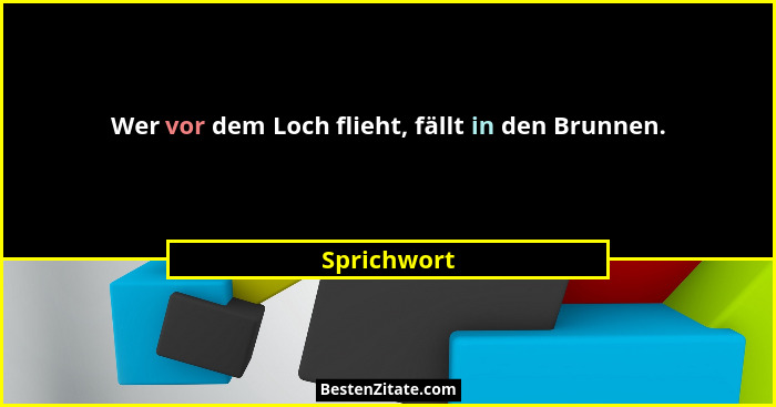 Wer vor dem Loch flieht, fällt in den Brunnen.... - Sprichwort