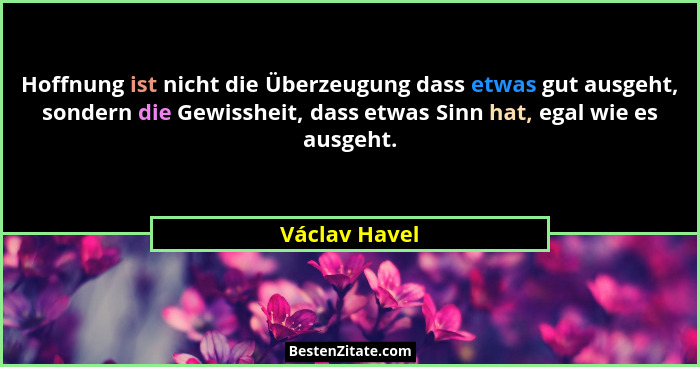 Hoffnung ist nicht die Überzeugung dass etwas gut ausgeht, sondern die Gewissheit, dass etwas Sinn hat, egal wie es ausgeht.... - Václav Havel