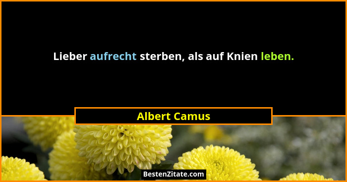 Lieber aufrecht sterben, als auf Knien leben.... - Albert Camus