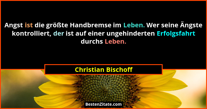 Angst ist die größte Handbremse im Leben. Wer seine Ängste kontrolliert, der ist auf einer ungehinderten Erfolgsfahrt durchs Lebe... - Christian Bischoff
