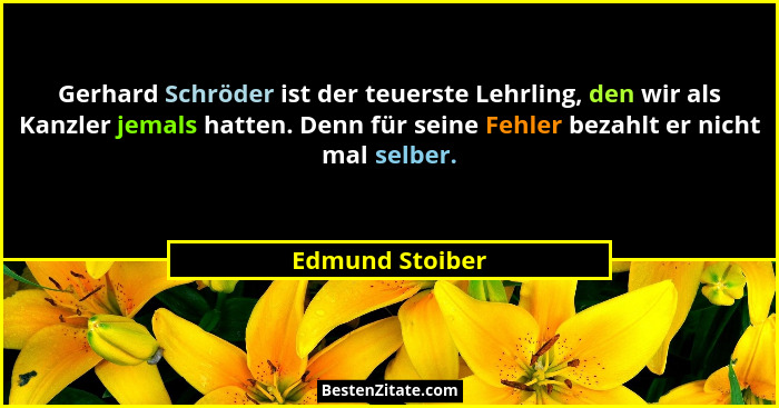 Gerhard Schröder ist der teuerste Lehrling, den wir als Kanzler jemals hatten. Denn für seine Fehler bezahlt er nicht mal selber.... - Edmund Stoiber