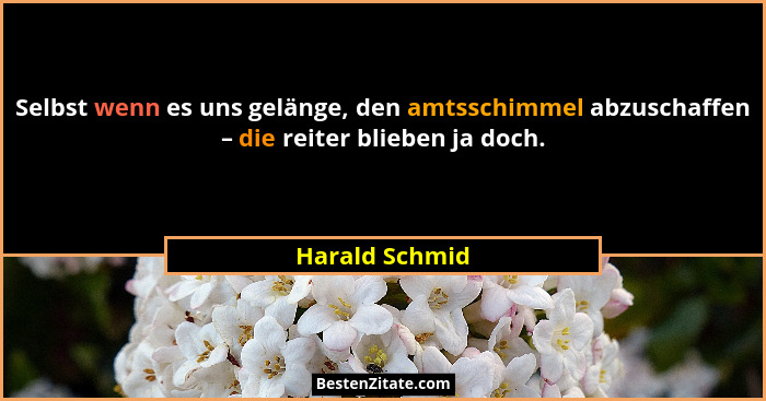 Selbst wenn es uns gelänge, den amtsschimmel abzuschaffen – die reiter blieben ja doch.... - Harald Schmid