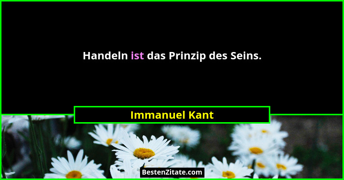 Handeln ist das Prinzip des Seins.... - Immanuel Kant