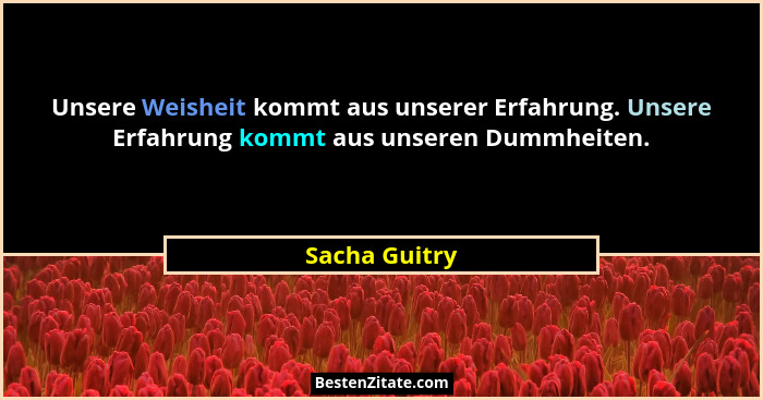 Unsere Weisheit kommt aus unserer Erfahrung. Unsere Erfahrung kommt aus unseren Dummheiten.... - Sacha Guitry