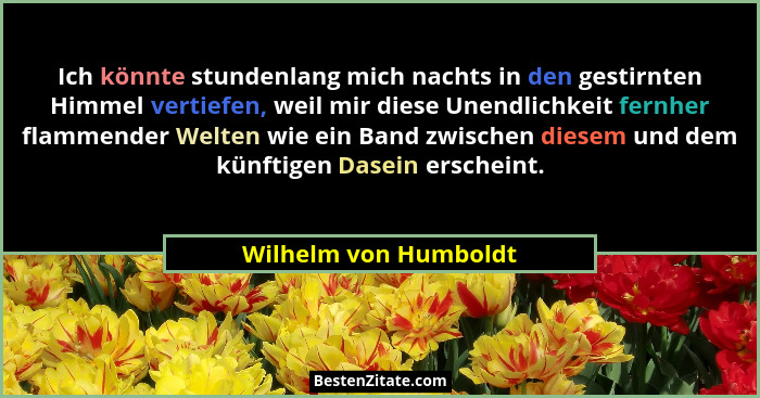 Ich könnte stundenlang mich nachts in den gestirnten Himmel vertiefen, weil mir diese Unendlichkeit fernher flammender Welten w... - Wilhelm von Humboldt