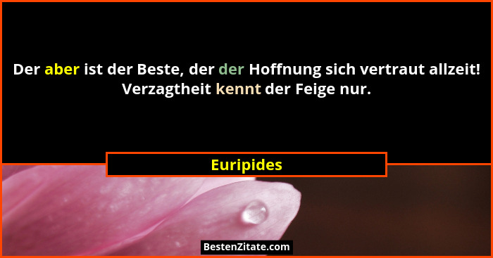 Der aber ist der Beste, der der Hoffnung sich vertraut allzeit! Verzagtheit kennt der Feige nur.... - Euripides