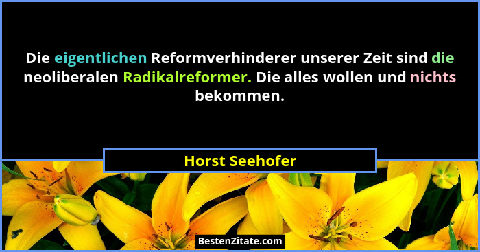 Die eigentlichen Reformverhinderer unserer Zeit sind die neoliberalen Radikalreformer. Die alles wollen und nichts bekommen.... - Horst Seehofer