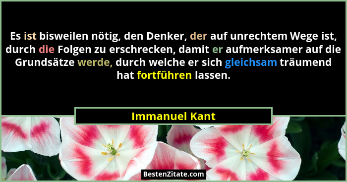 Es ist bisweilen nötig, den Denker, der auf unrechtem Wege ist, durch die Folgen zu erschrecken, damit er aufmerksamer auf die Grundsä... - Immanuel Kant