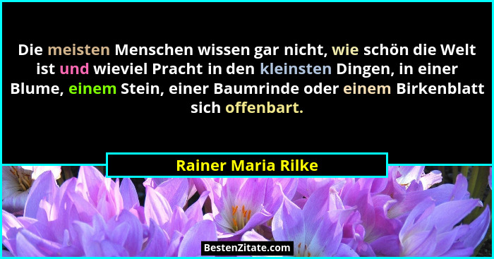 Die meisten Menschen wissen gar nicht, wie schön die Welt ist und wieviel Pracht in den kleinsten Dingen, in einer Blume, einem S... - Rainer Maria Rilke