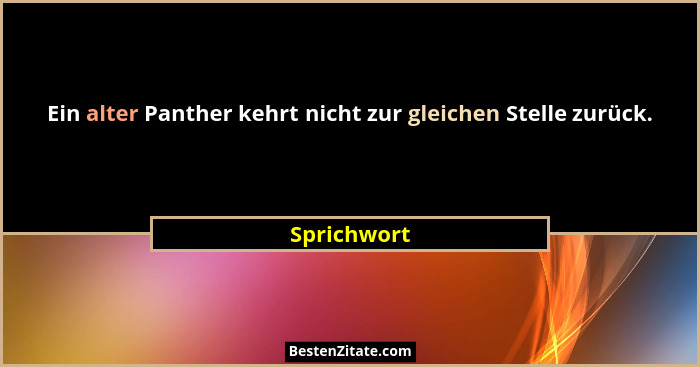 Ein alter Panther kehrt nicht zur gleichen Stelle zurück.... - Sprichwort