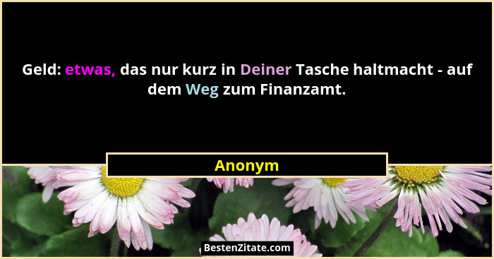 Geld: etwas, das nur kurz in Deiner Tasche haltmacht - auf dem Weg zum Finanzamt.... - Anonym